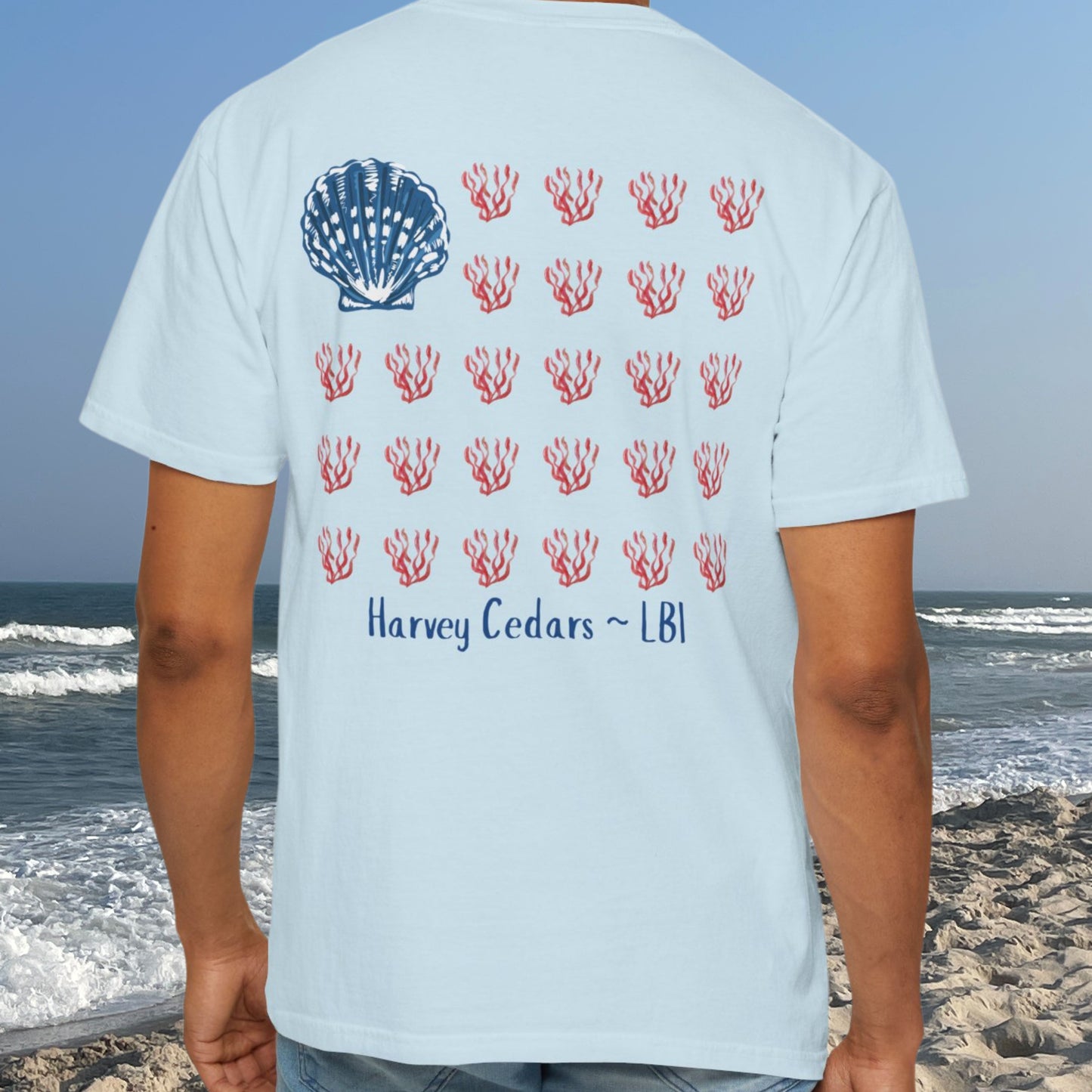 American Tide - Shell - Harvey Cedars