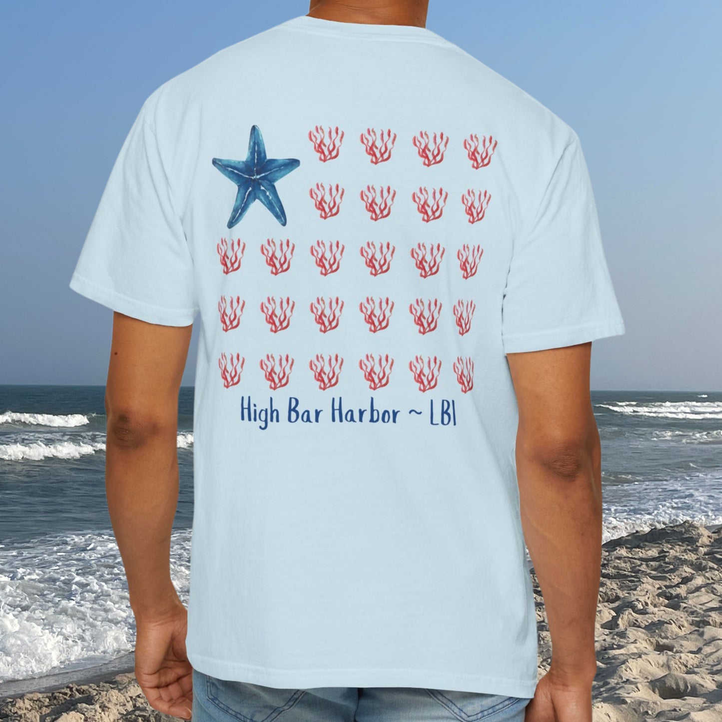 American Tide - Starfish - High Bar Harbor