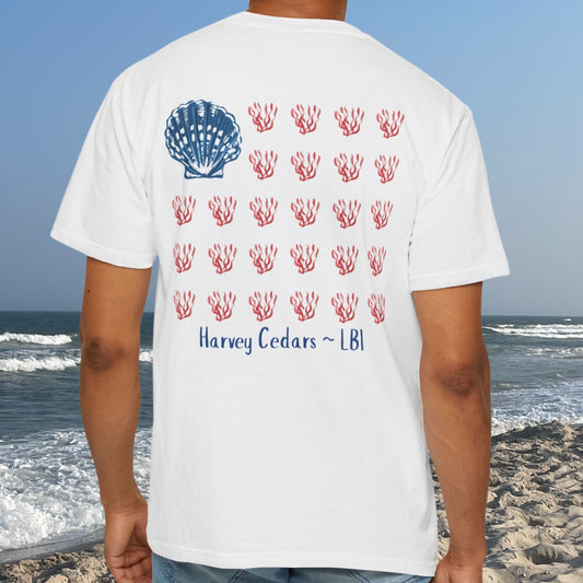 American Tide - Shell - Harvey Cedars