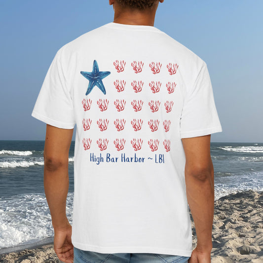 American Tide - Starfish - High Bar Harbor
