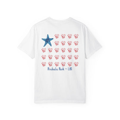 American Tide - Starfish - Peahala Park